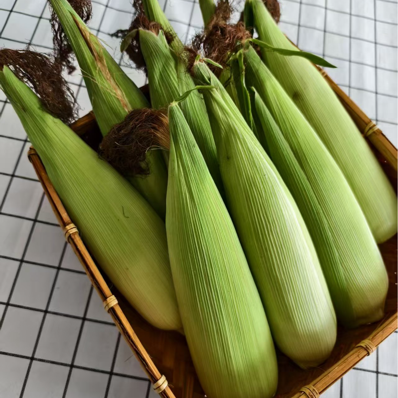 启东合作水果玉米（5.5斤装）