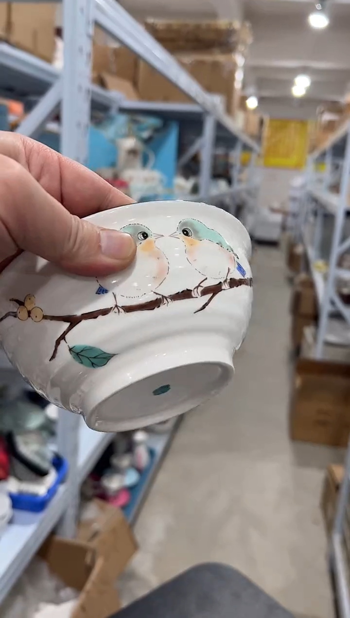 杯子骨瓷小鸟6寸拉面碗2个