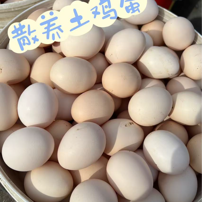 （初生蛋）跑山鸡柴鸡蛋顺丰发货明天到家4斤-4.5斤50个装鸡蛋同城送