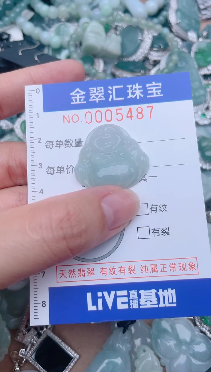 翡翠未镶嵌颈饰5487.......1