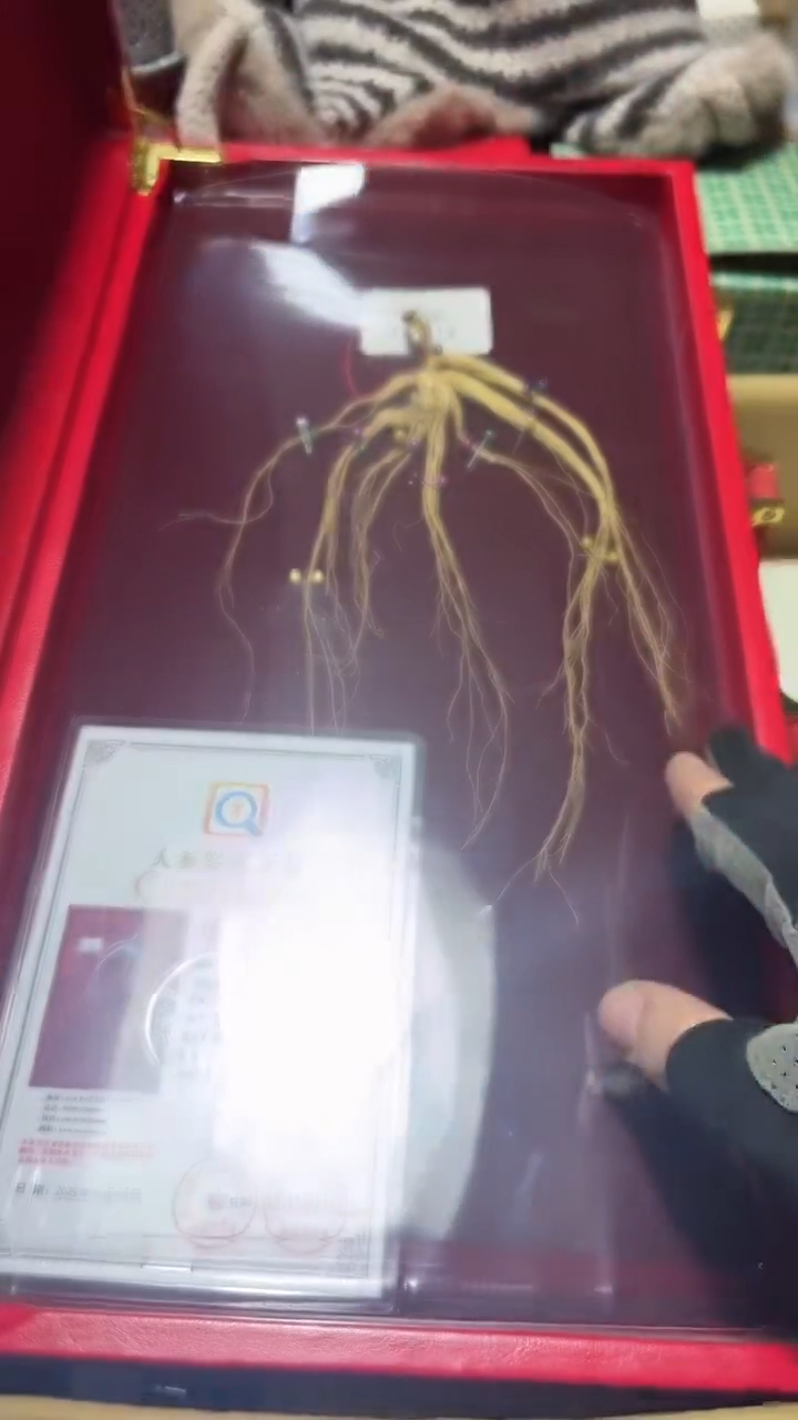 瓷片瓷片8888888888888