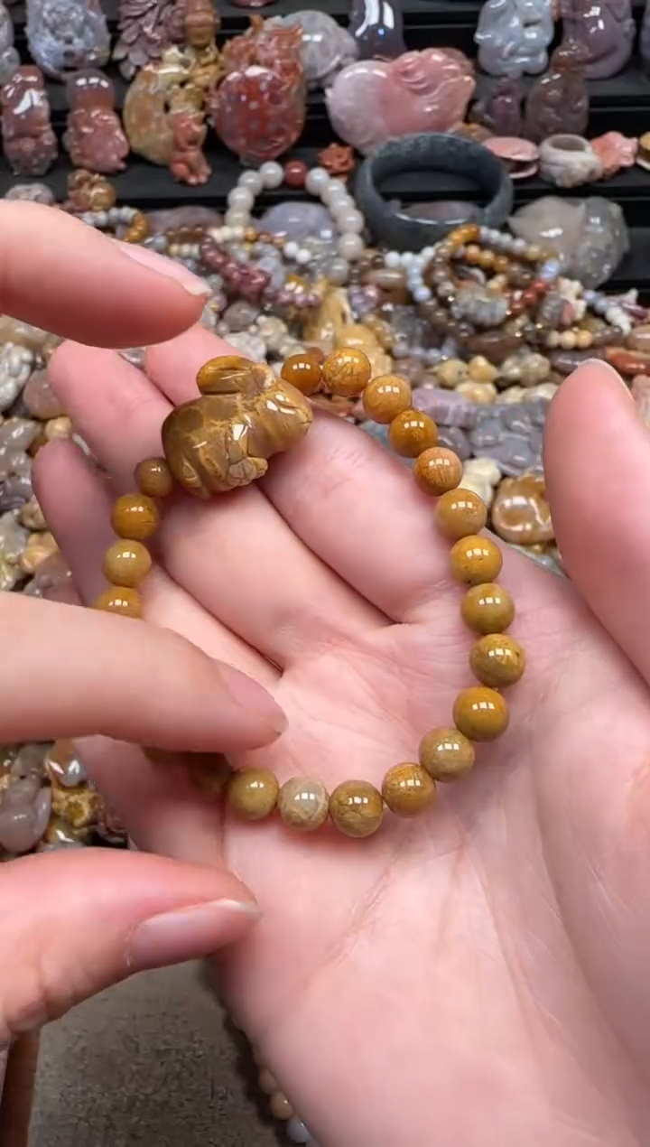 颈饰未镶嵌硅化珊瑚（珊瑚玉）643