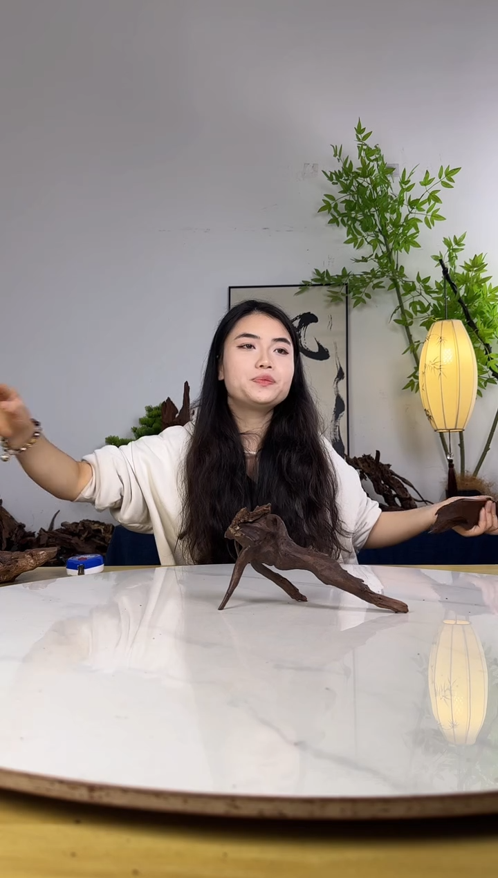 神****®拍沉木定向链接编号32