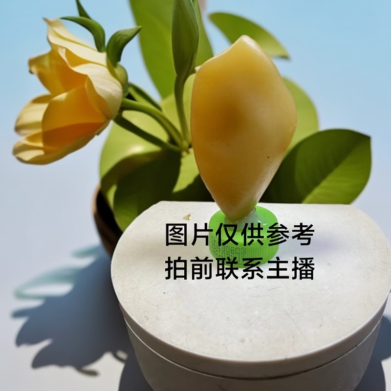 新疆戈壁石，奇石，泥石，盆景石，家居摆件，办公室摆件，把玩石，小子，