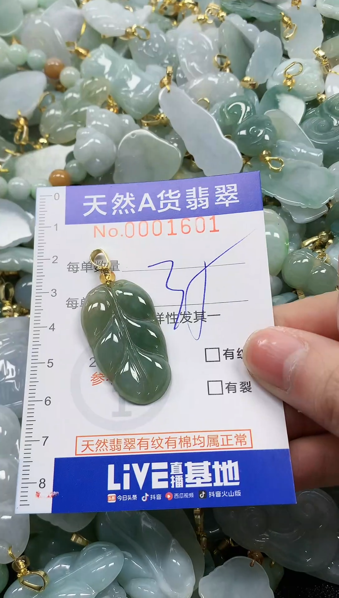 颈饰未镶嵌翡翠纯天然a货翡翠
