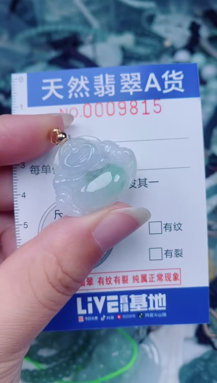 颈饰未镶嵌翡翠00009815