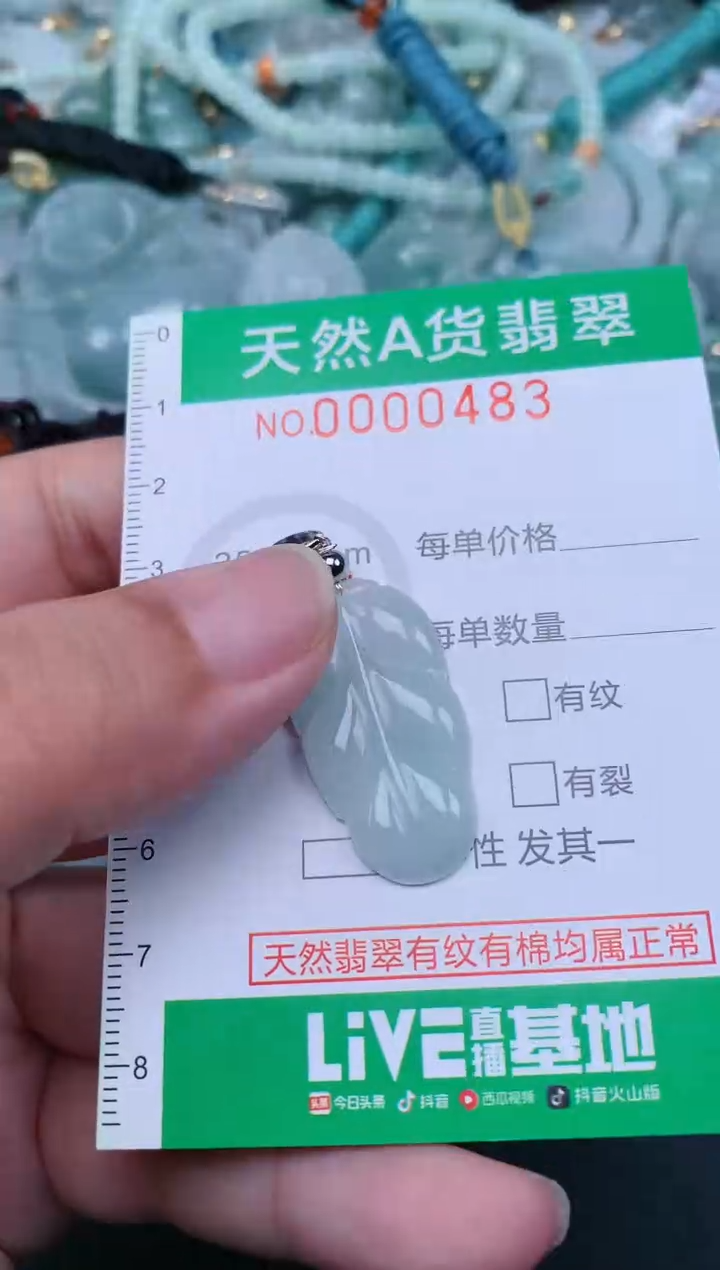 翡翠未镶嵌颈饰.0000483