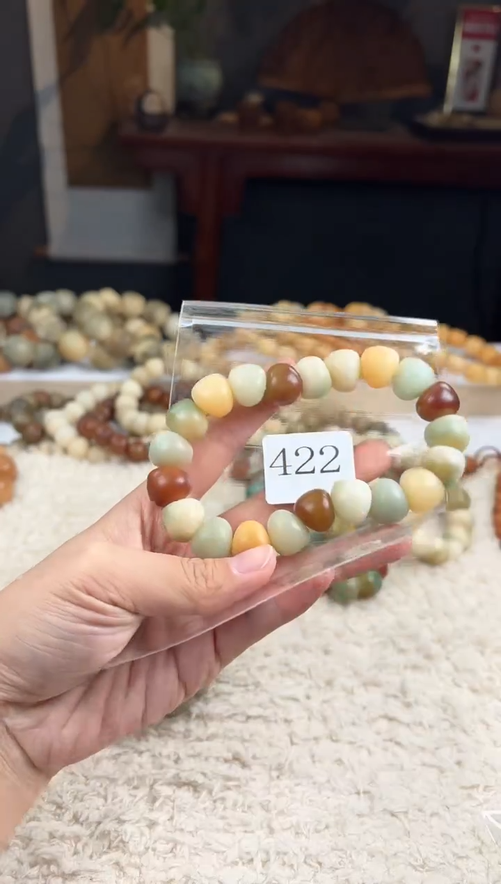 【闪购商品】菩提根/象牙果手串15大肠（422）