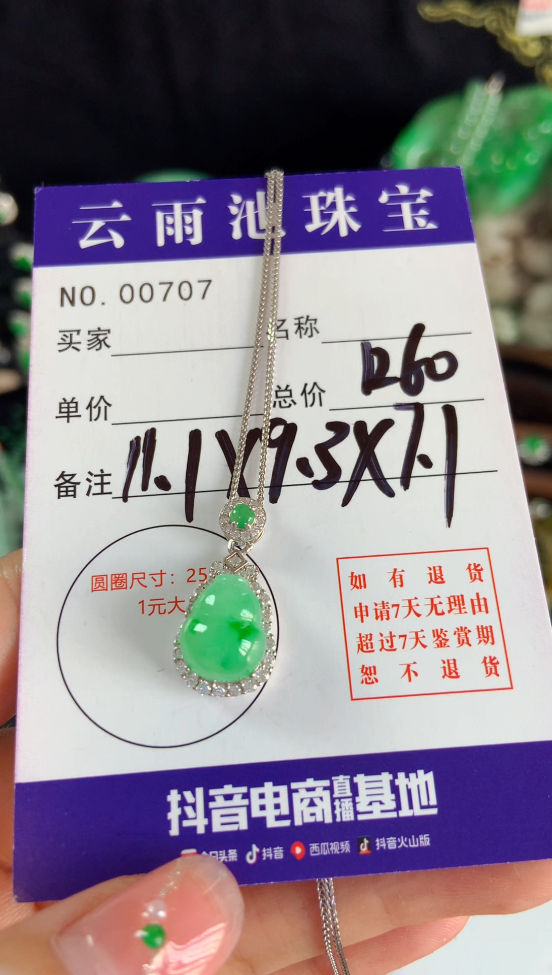 【闪购商品】翡翠颈饰银S925镶嵌翡翠