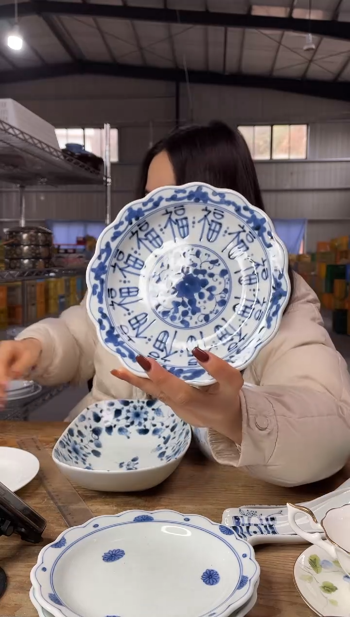 【闪购商品】瓷片869号   19*3.5       