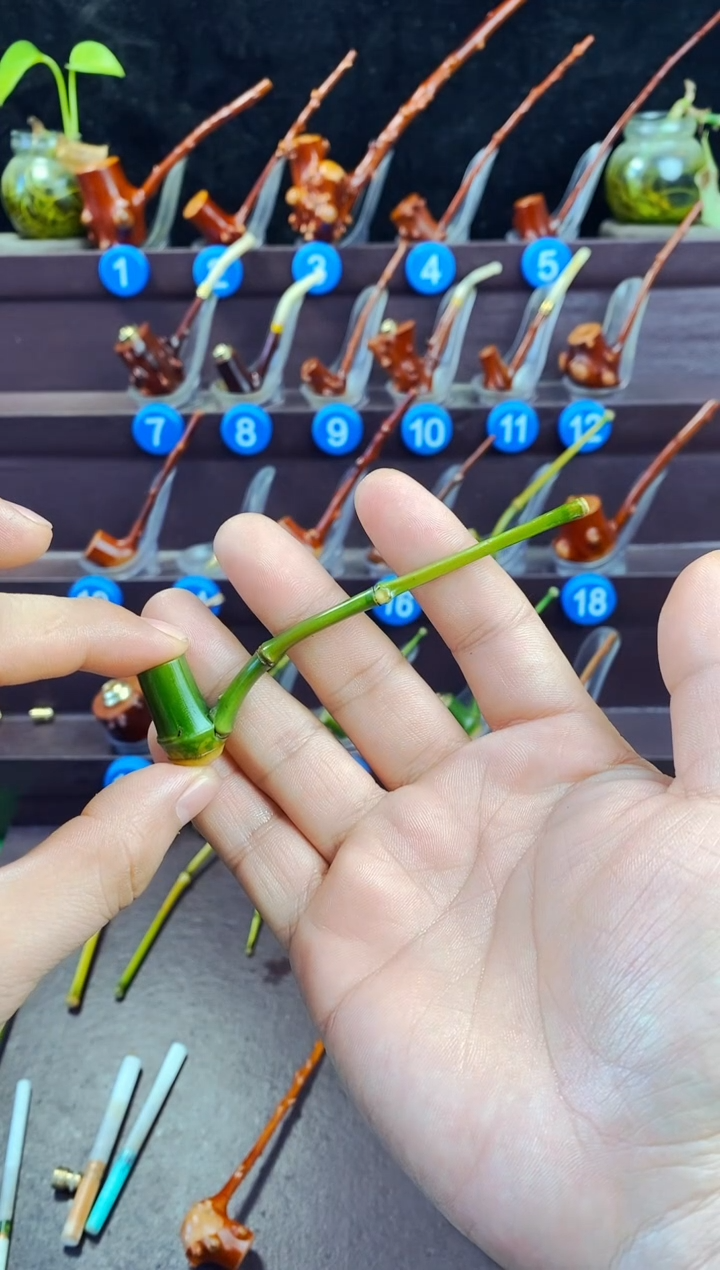 木?**运檬子木的精品小斗