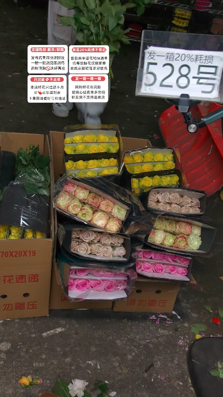 528号♥含20%耗损发一箱