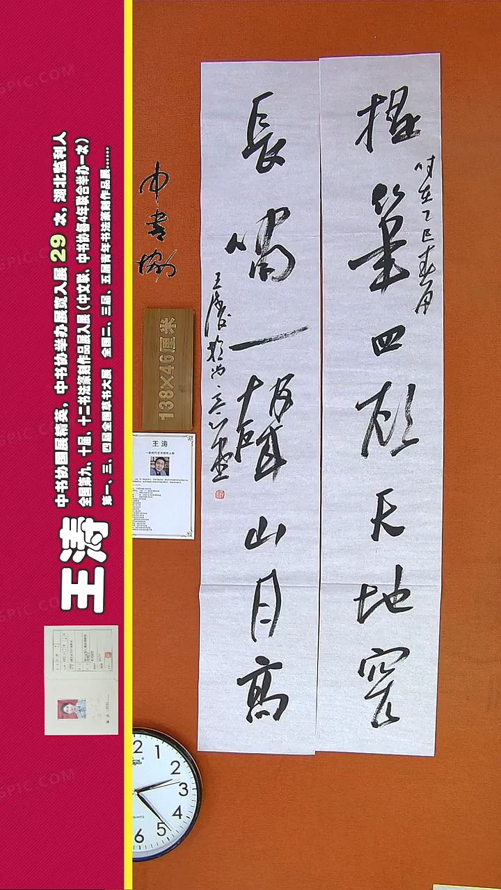 【闪购商品】书法368王涛书法作品
