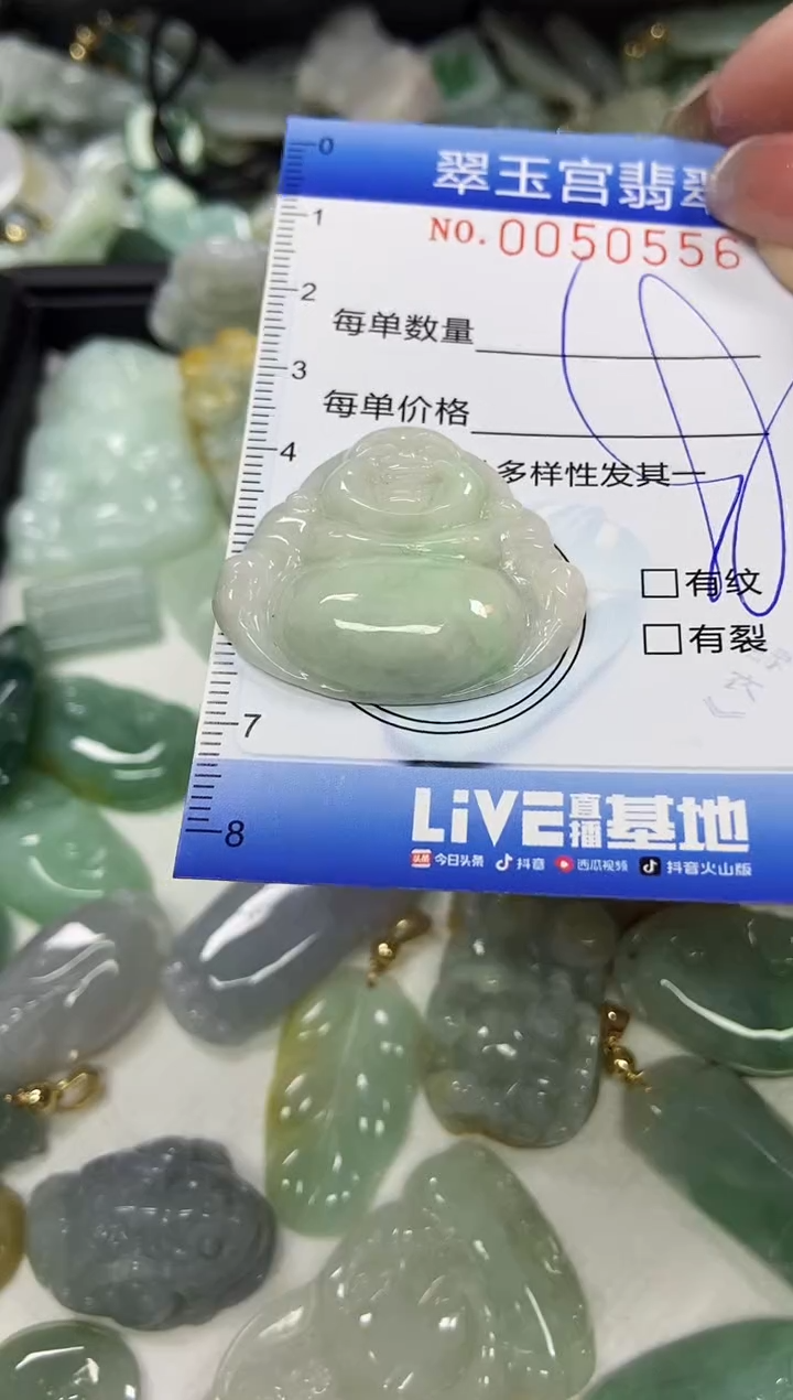 【闪购商品】翡翠颈饰未镶嵌闪购0050556