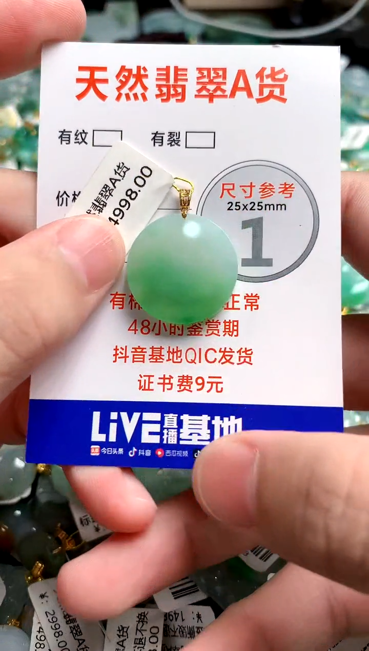 翡翠18K金镶嵌颈饰0063652387