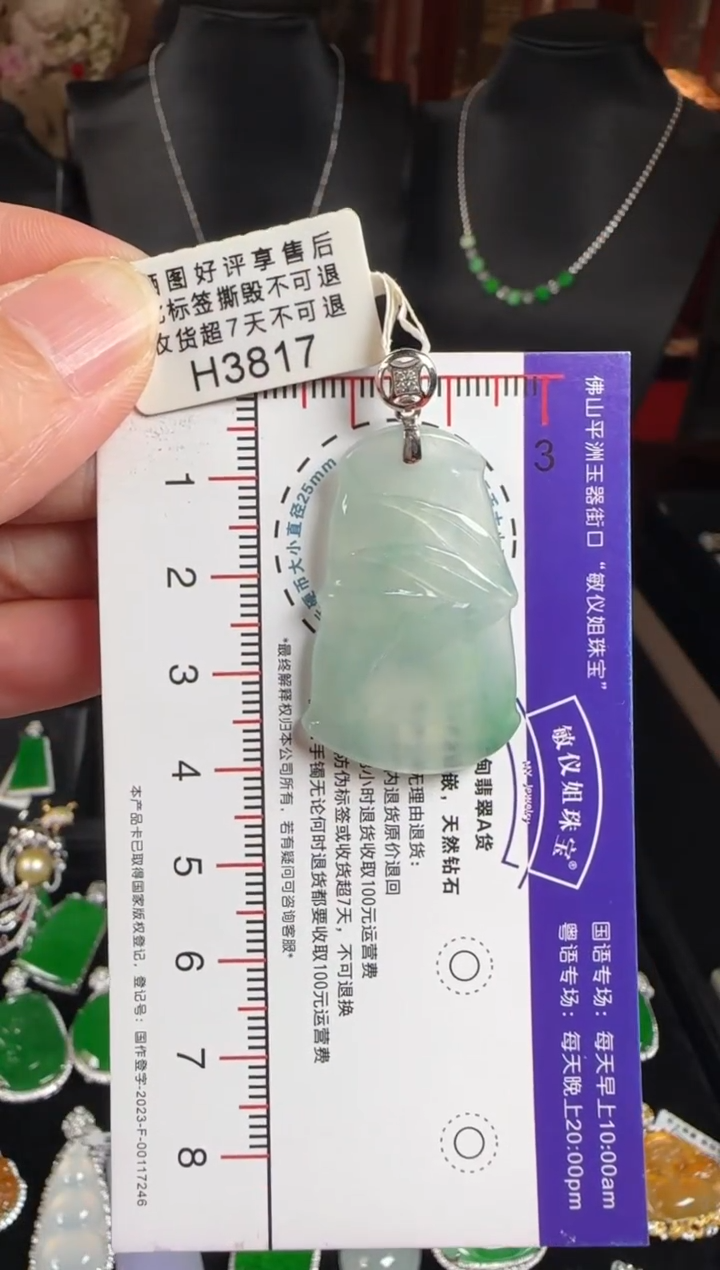 颈饰未镶嵌翡翠H3817竹报平安