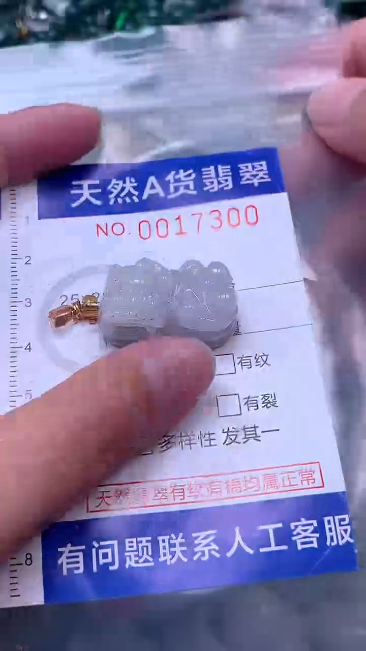 吊坠(赠链)未镶嵌翡翠1