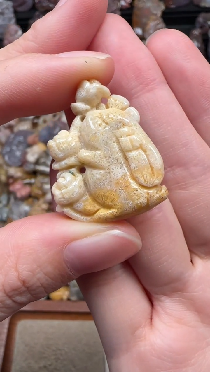 颈饰未镶嵌硅化珊瑚（珊瑚玉）009