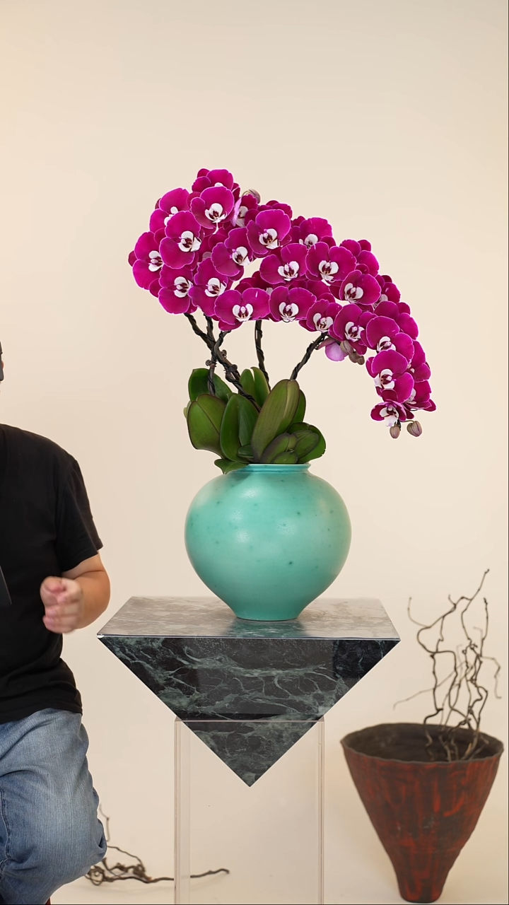 全部花朵028号链接【一物一拍】艺术盆景