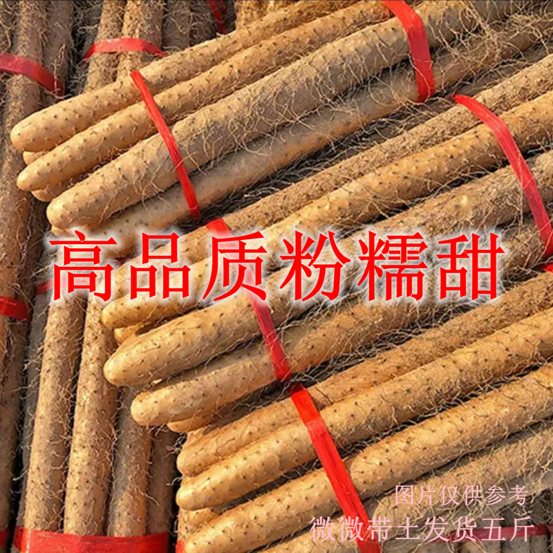 铁棍山药软糯香甜产地直发生鲜蔬菜宝宝辅食带箱五斤30-50