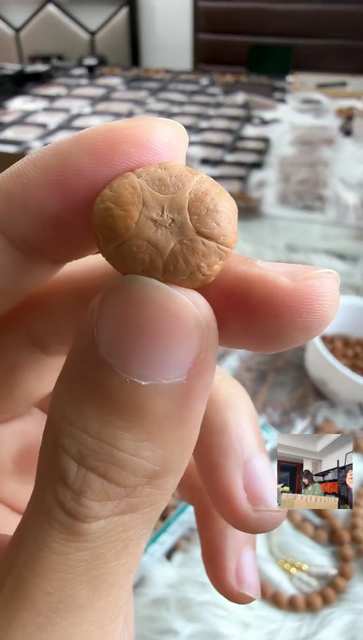 吊坠凤眼菩提4716