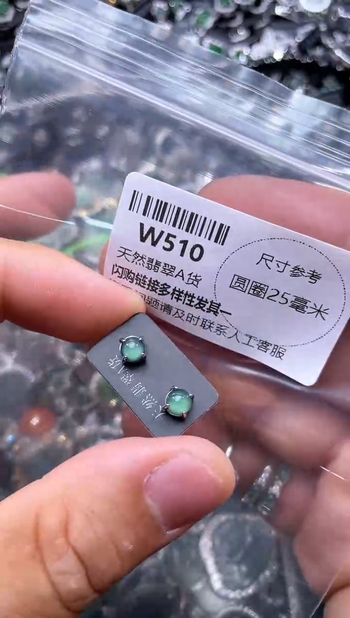 【闪购商品】翡翠颈饰未镶嵌W510耳钉