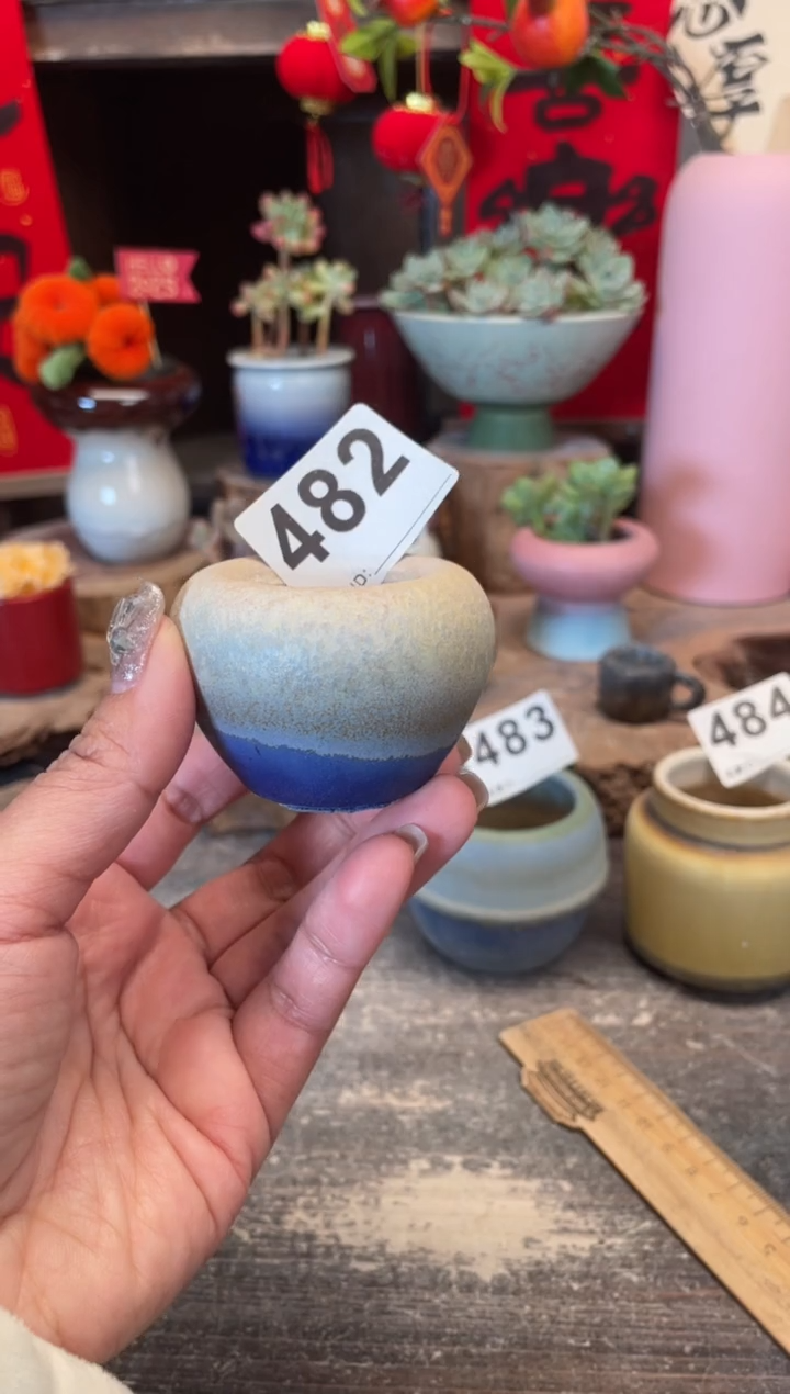 【闪购商品】摆件482福利知木小芳花盆
