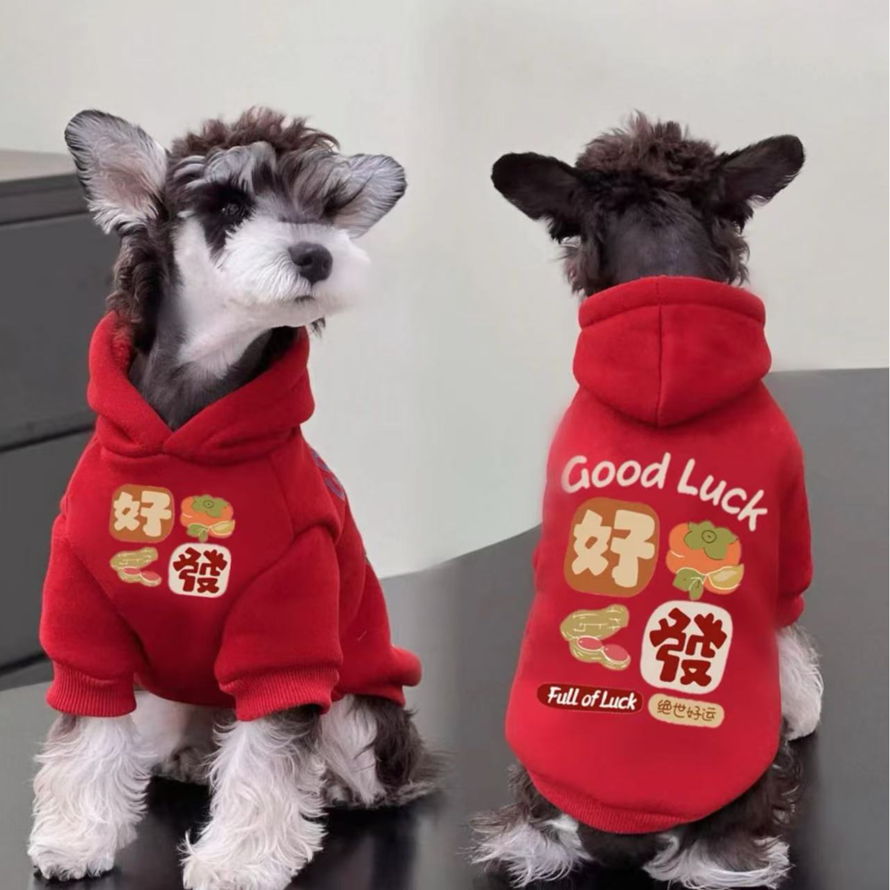 狗狗新年衣服四角保暖小型犬衣服