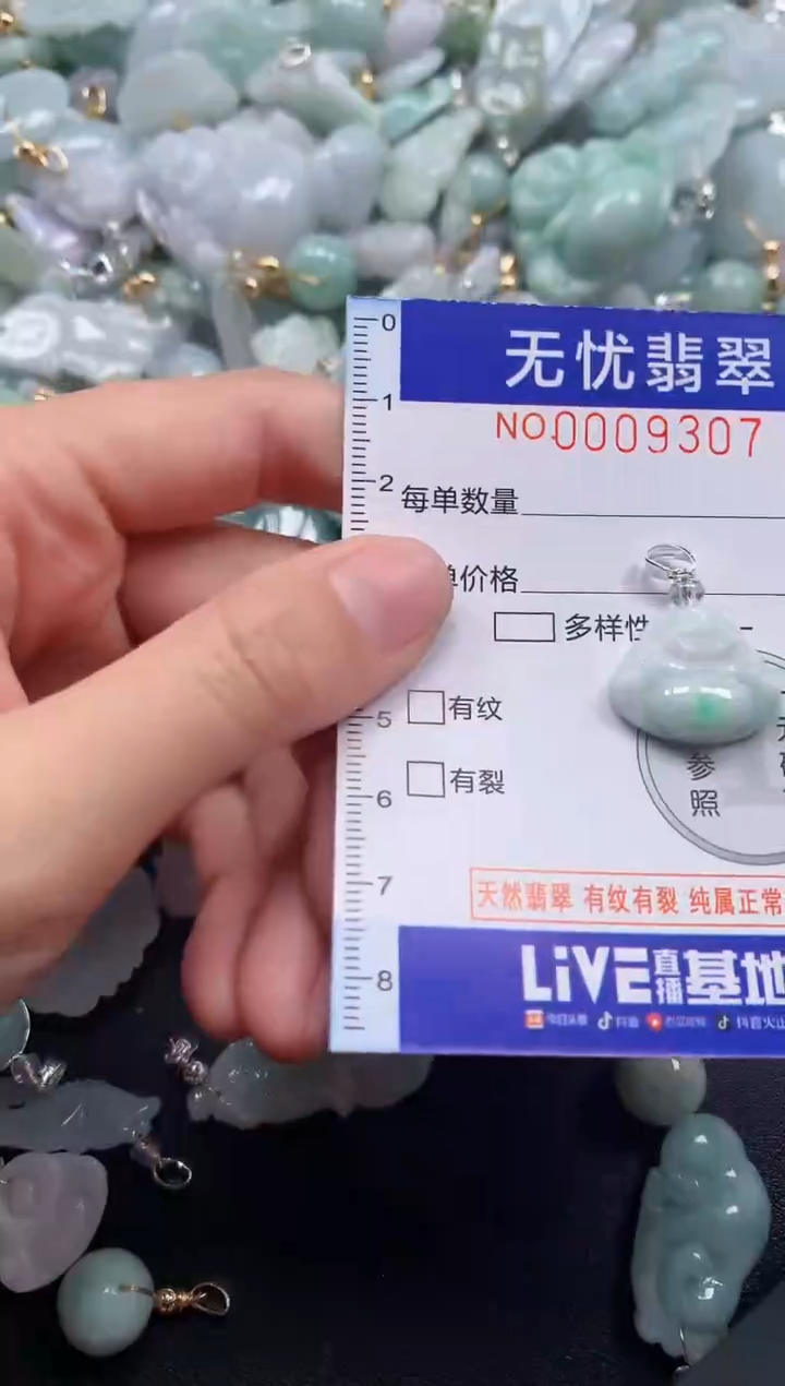 颈饰未镶嵌翡翠9307