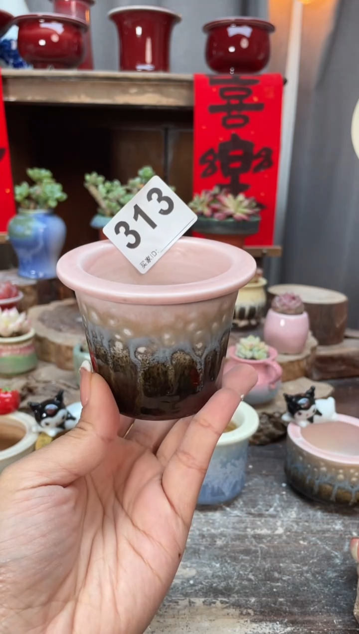 【闪购商品】摆件313知木小芳花盆编号