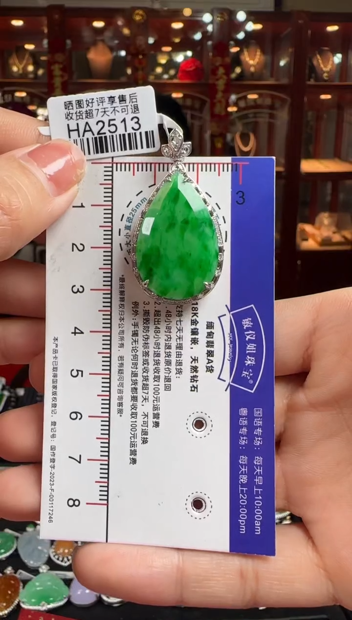 【闪购商品】翡翠颈饰18K金镶嵌HA2513冰绿滴水