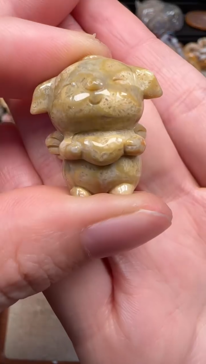 硅化珊瑚（珊瑚玉）未镶嵌颈饰236