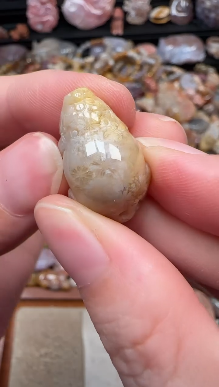 颈饰未镶嵌硅化珊瑚（珊瑚玉）076