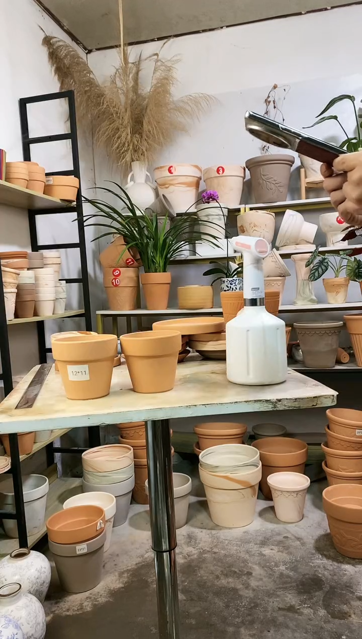 【闪购商品】红陶12*11红陶国际 2盆无托