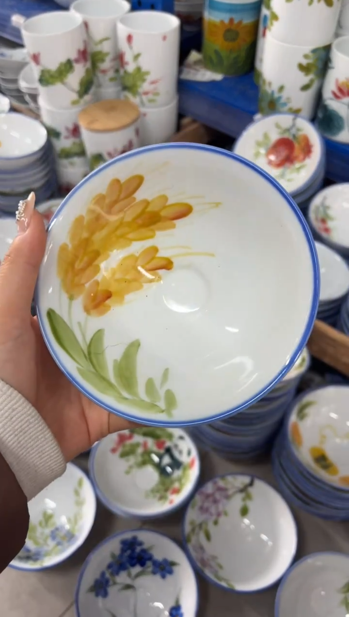 瓷片景德镇高温陶瓷食品级手绘釉中彩-斗笠碗
