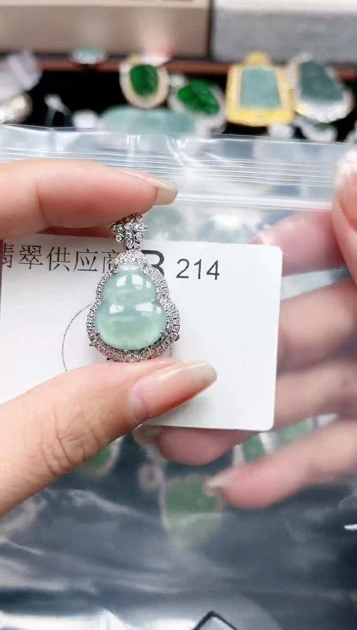 【闪购商品】翡翠颈饰未镶嵌214赠皮绳