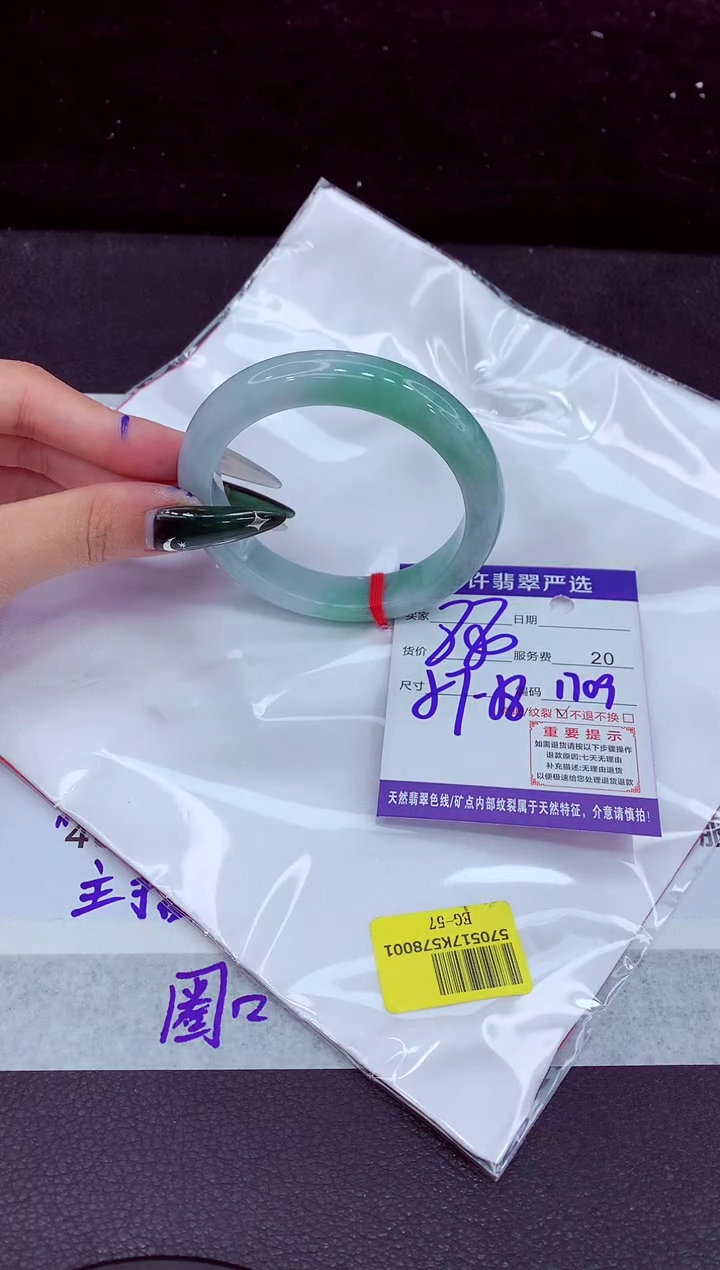 未镶嵌手镯翡翠1