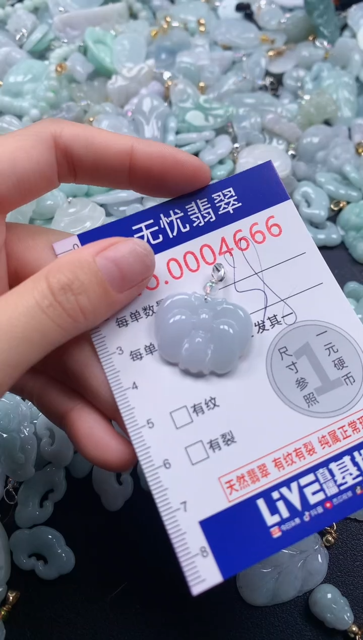 颈饰未镶嵌翡翠46661