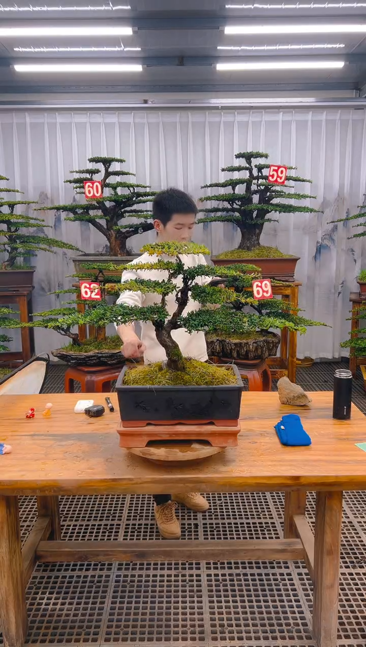 【闪购商品】紫砂精品盆景直播间一物一拍