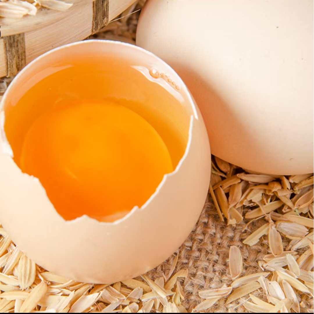 正宗农家散养新鲜鸡蛋营养丰富现捡现发破损包赔