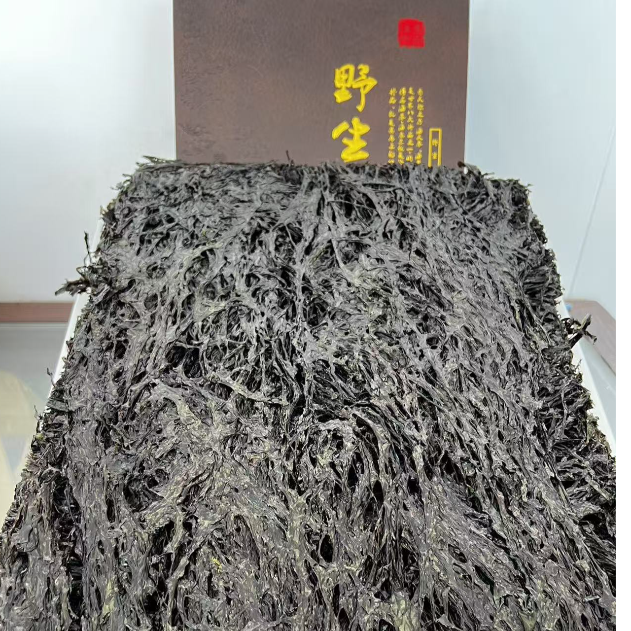 青岛田横山东头紫菜