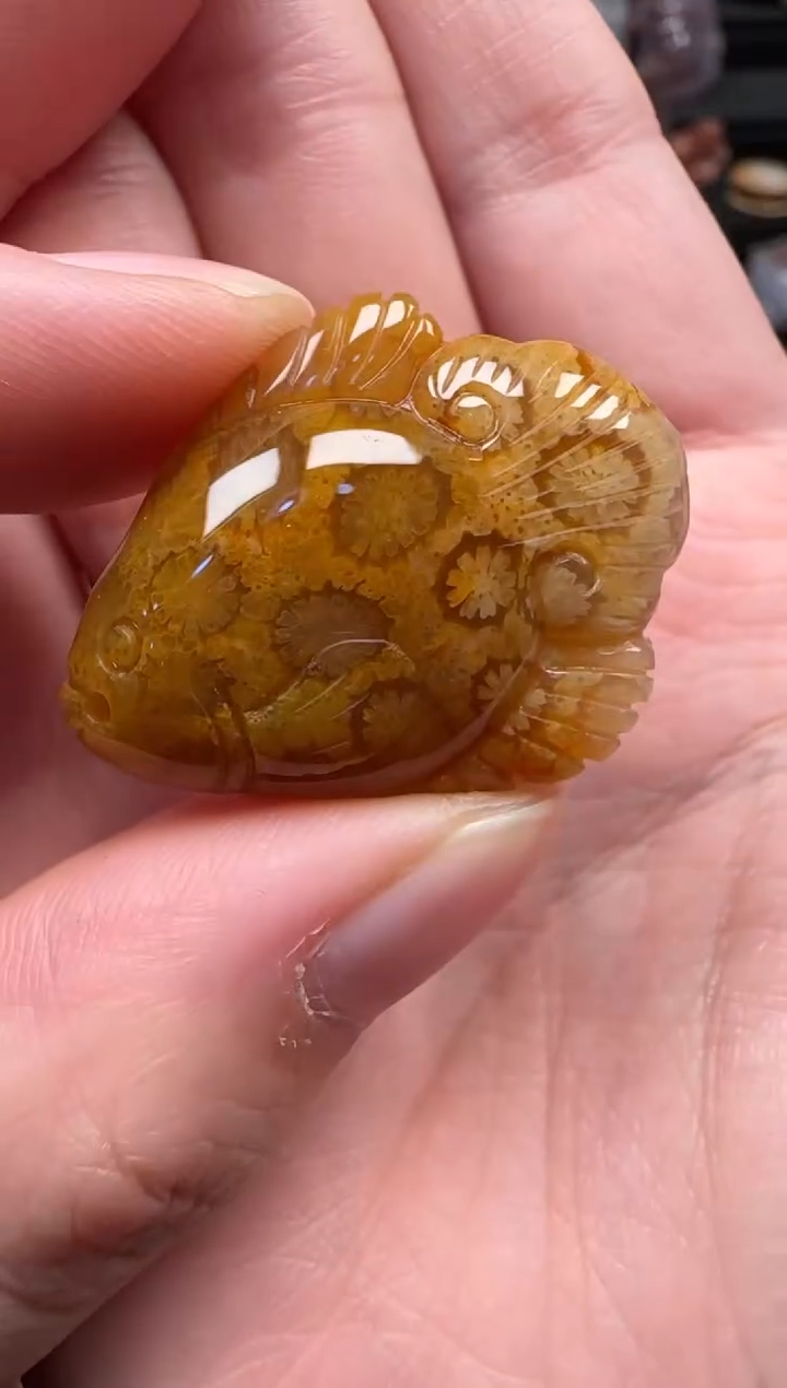 颈饰未镶嵌硅化珊瑚（珊瑚玉）089