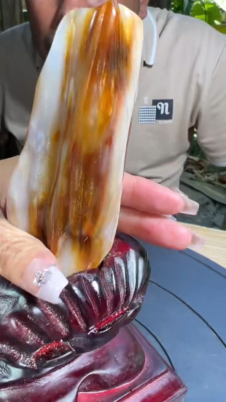 【闪购商品】硅化玉珠宝奇石未镶嵌拍一发一