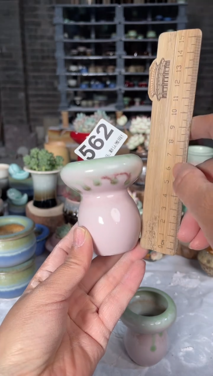 瓷片562小芳直播编号