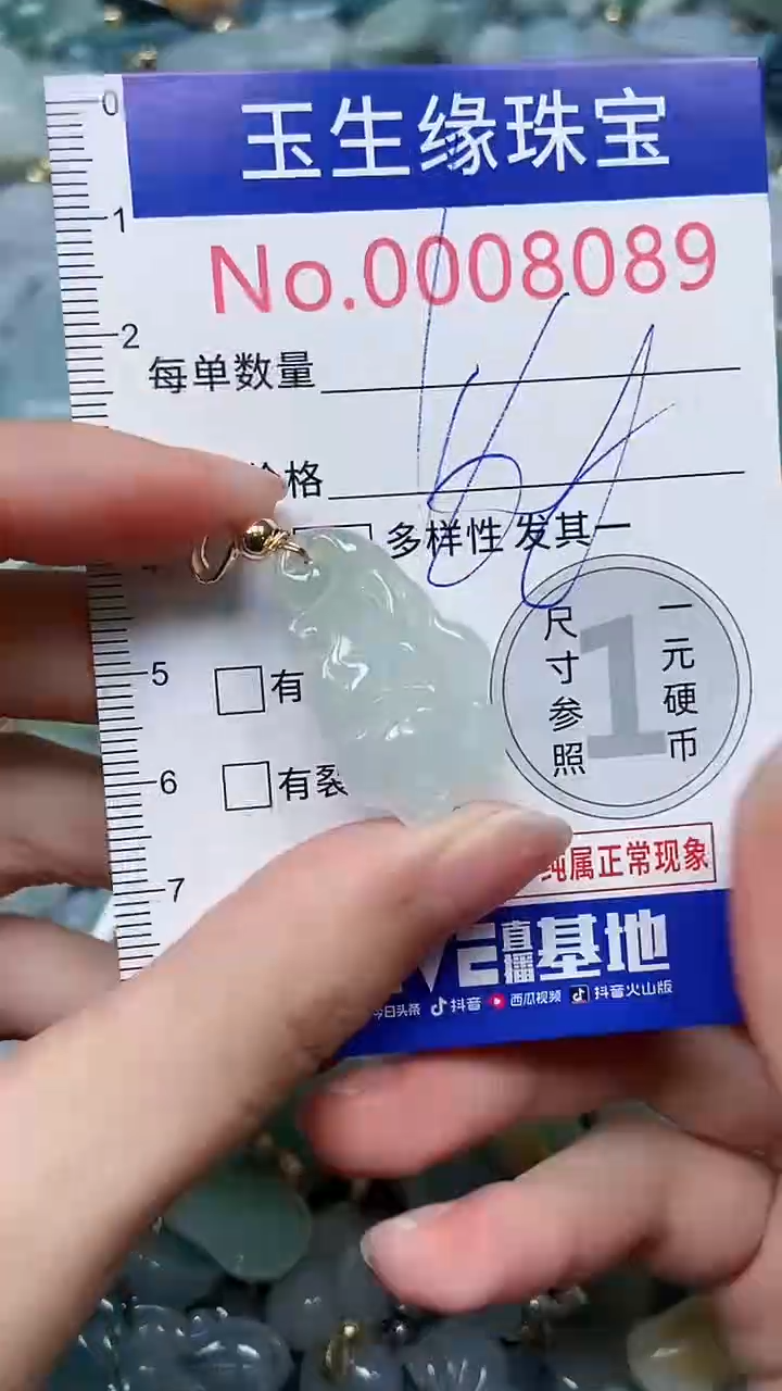 【闪购商品】翡翠颈饰未镶嵌闪购00008089