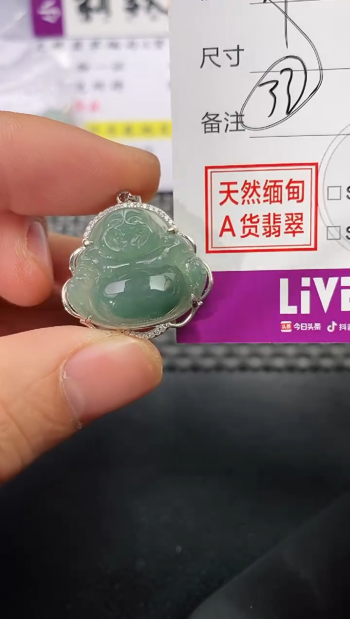 颈饰银S925镶嵌翡翠艳*99