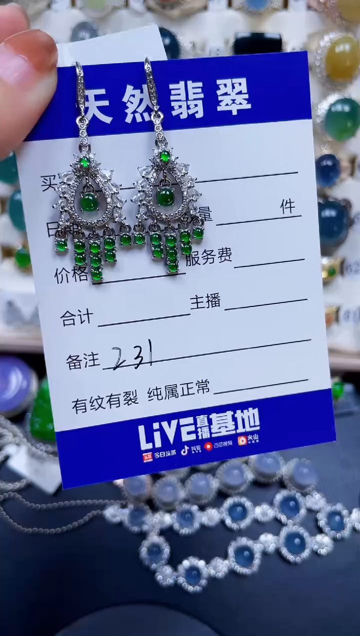 银S925镶嵌翡翠耳饰231