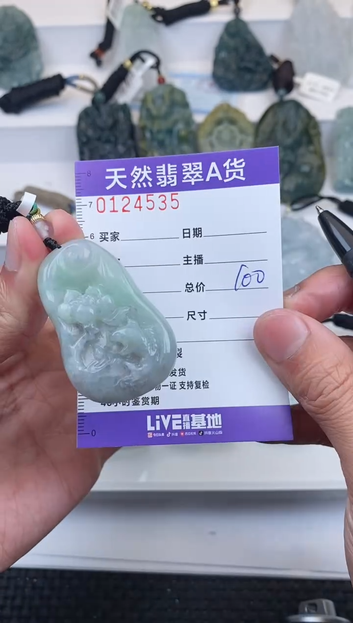 【闪购商品】翡翠颈饰未镶嵌          537