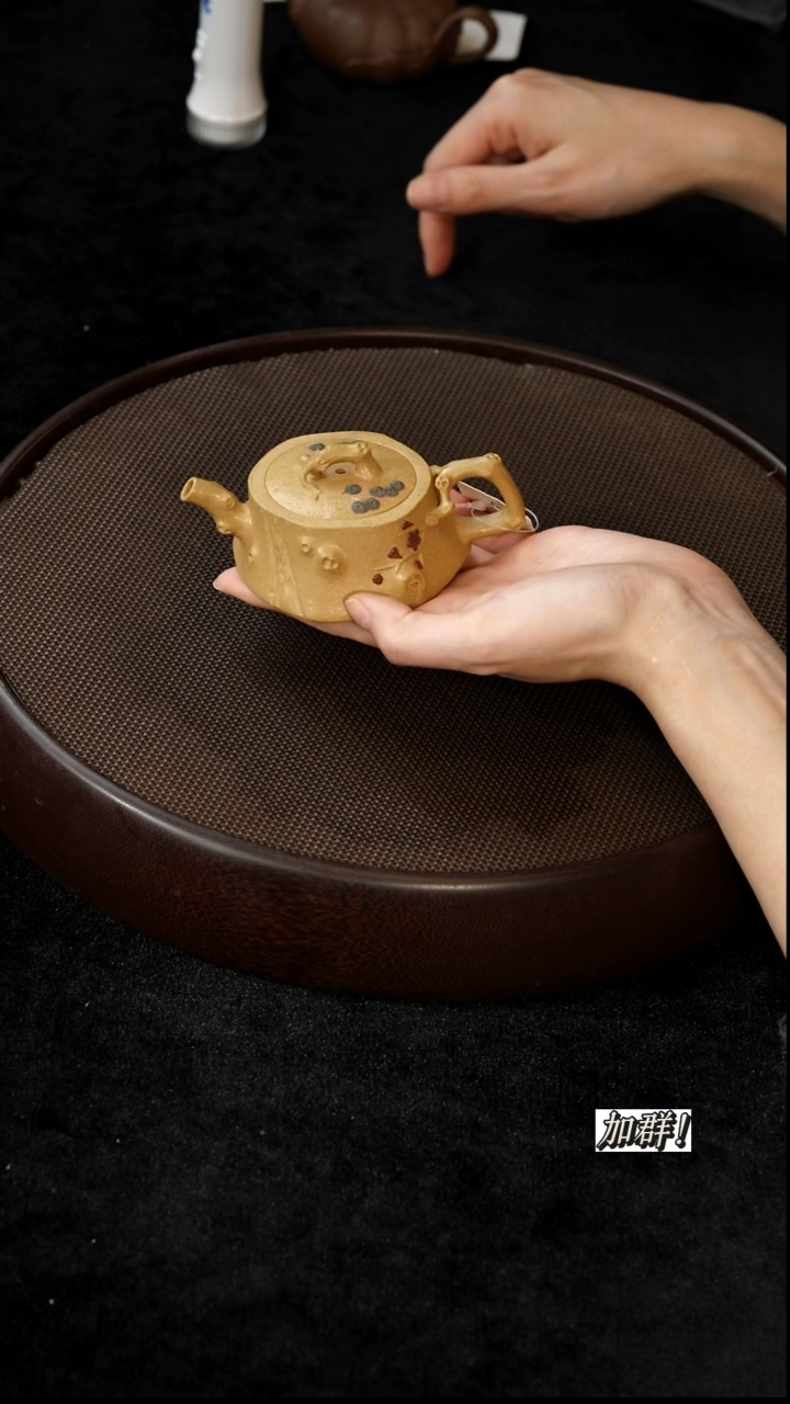 茶壶紫砂CCF19091黄金段小树桩80cc