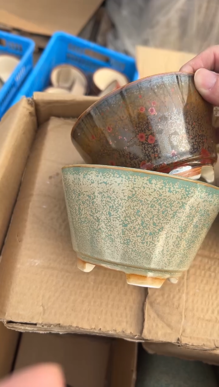 剑*缘26号一个窑宝一个绿色微瑕